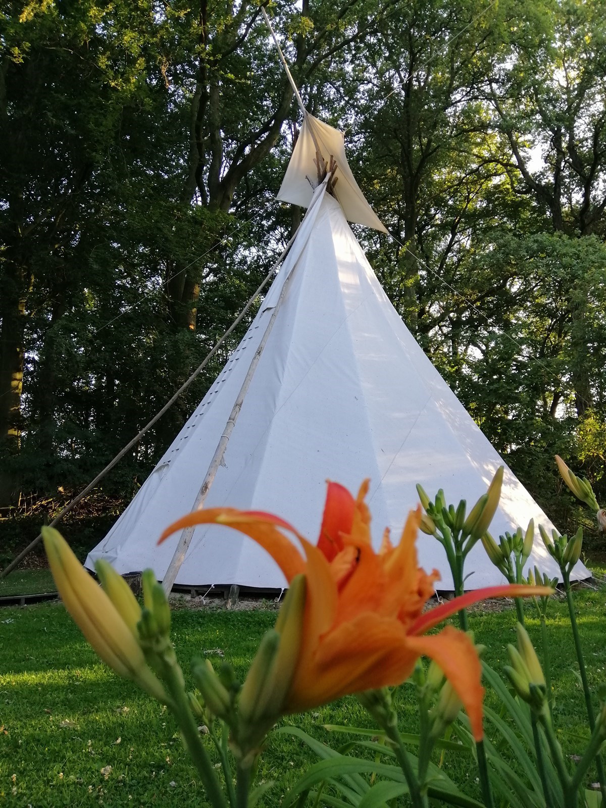 Overnachten in een Tipi tent
