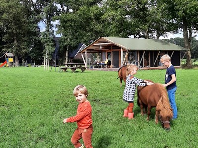 Glamping in een Farmlodge met pelletkachel Glamping in een Farmlodge met pelletkachel