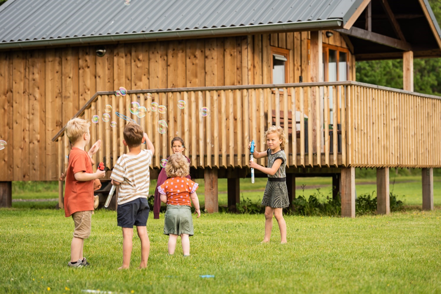 Uniek houten vakantiehuisje op palen in een Drents weiland