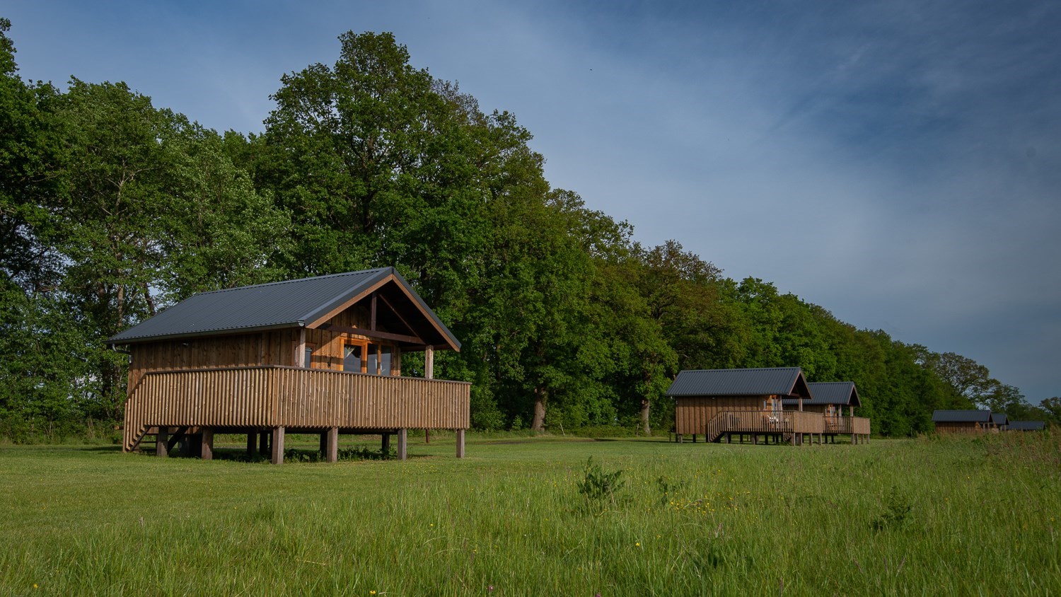 Uniek houten vakantiehuisje op palen in een Drents weiland