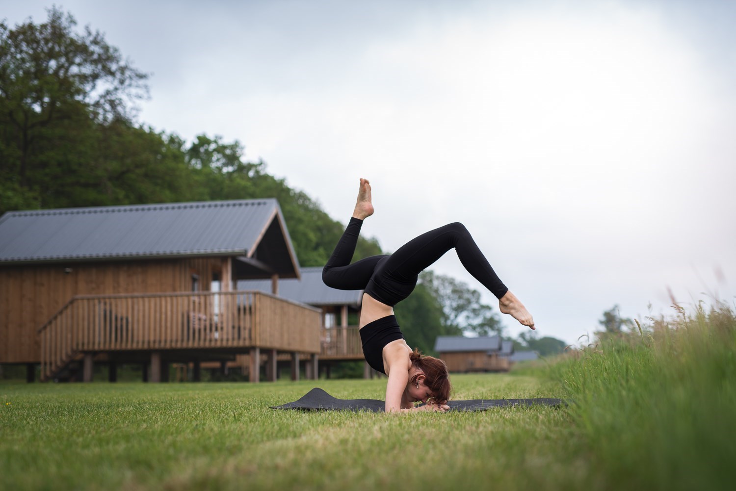 Uniek houten vakantiehuisje op palen in een Drents weiland