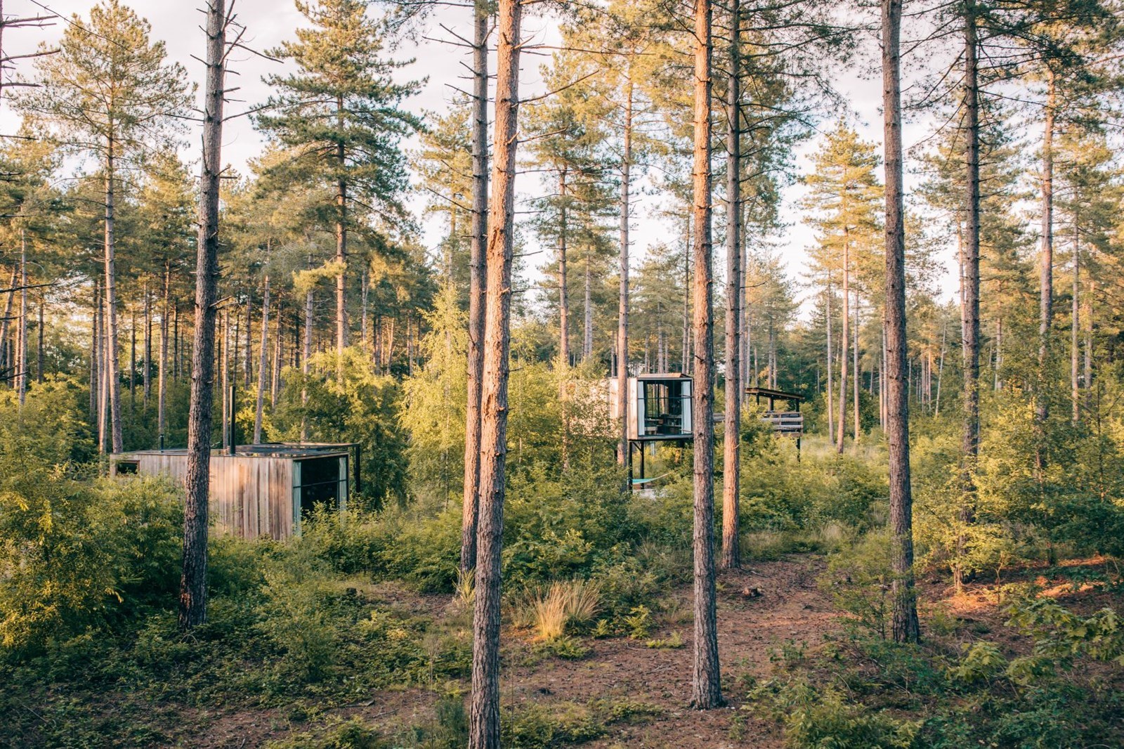 Tiny house in het bos