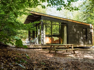 Forest Cabin op de Veluwe Forest Cabin op de Veluwe