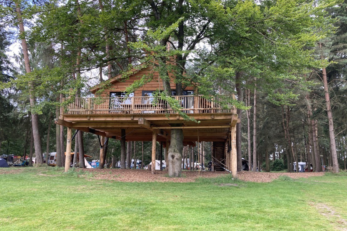 Boomhut voor 6 personen met badkamer en keuken