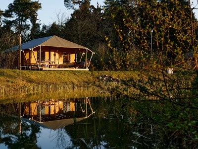 Woodcottage direct aan het ven Woodcottage direct aan het ven