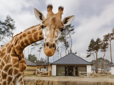 Afrikaanse Lodge Afrikaanse Lodge