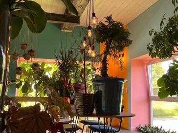 Plant Kot in een voormalige vlasfabriek Plant Kot in een voormalige vlasfabriek