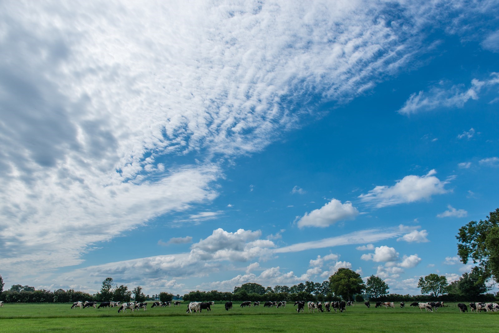 Gastenverblijf in een Historische wagenschuur