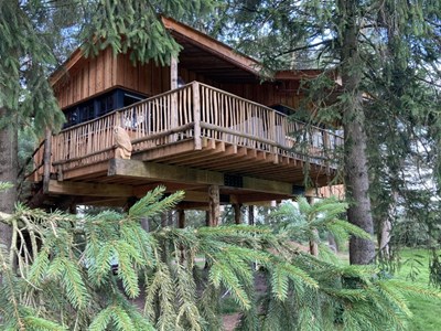 Boomhut voor 4 personen in Drenthe Boomhut voor 4 personen in Drenthe