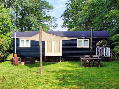 Overnachten in een Pipowagen aan het Dwingelderveld Overnachten in een Pipowagen aan het Dwingelderveld