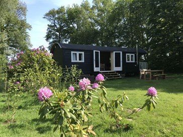 Pipowagen aan het Dwingelderveld Pipowagen aan het Dwingelderveld