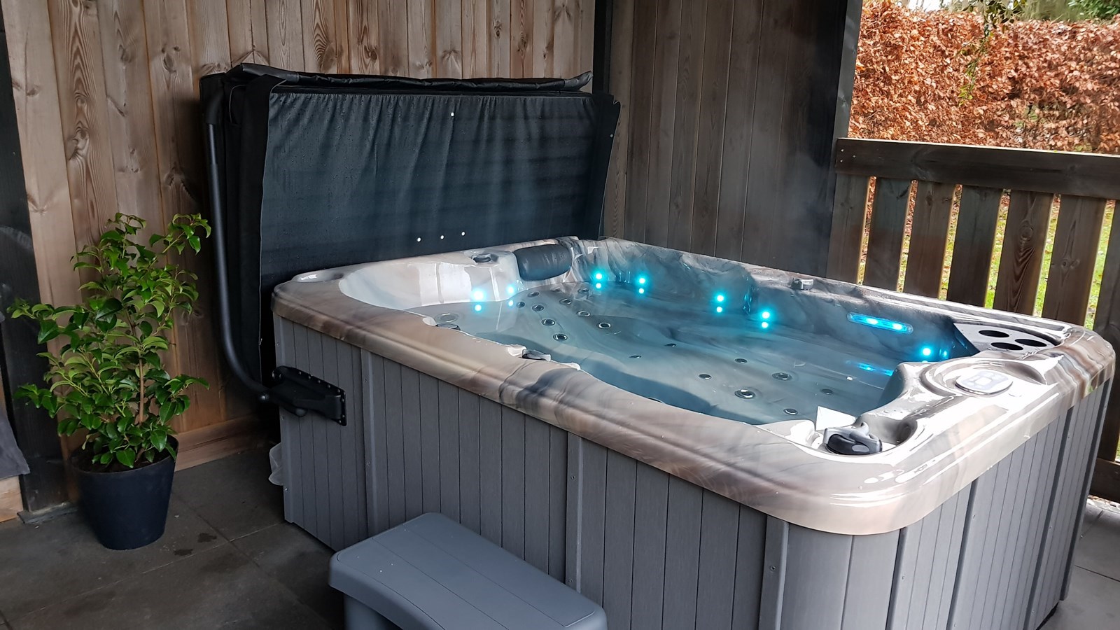 Wellness Cabin met sauna en jacuzzi