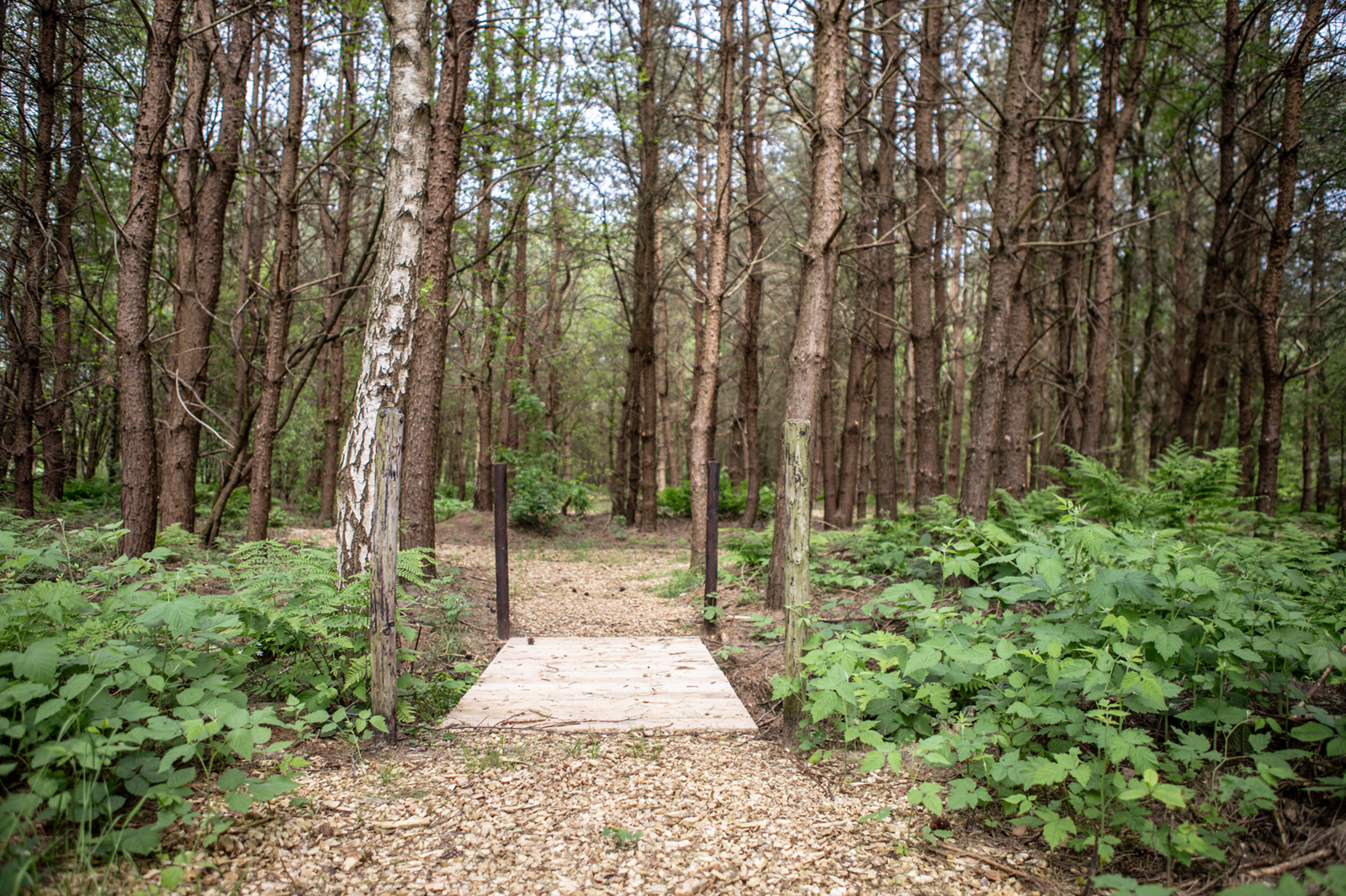 Natuurlodge met landelijk uitzicht