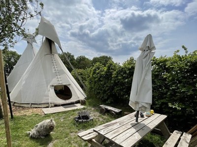 Kamperen in een echte Tipi tent Kamperen in een echte Tipi tent