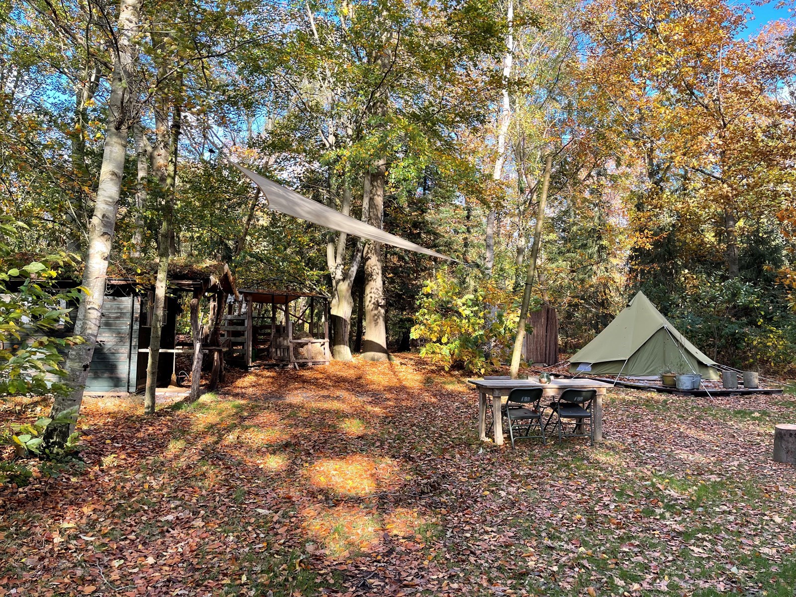 Houten hutje + tipi tent in het bos
