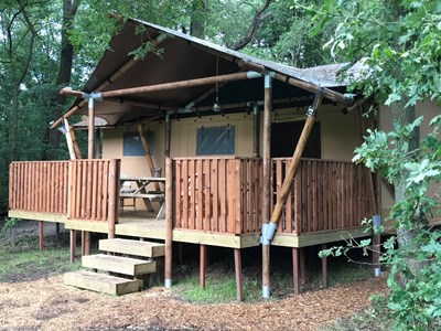 Glamping Lodge in het bos met zicht op de weide Glamping Lodge in het bos met zicht op de weide