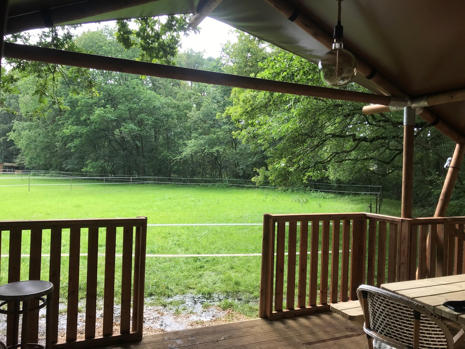 Glamping Lodge in het bos met zicht op de weide