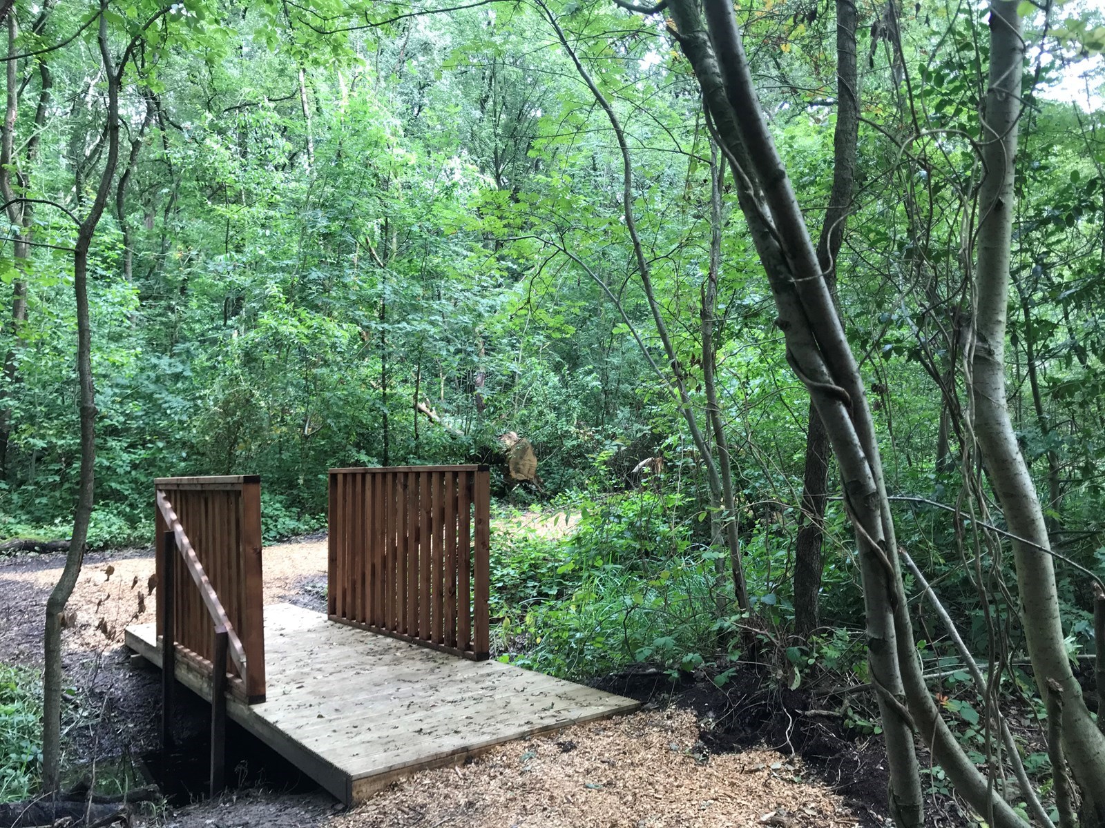 Glamping Lodge in het bos met zicht op de weide