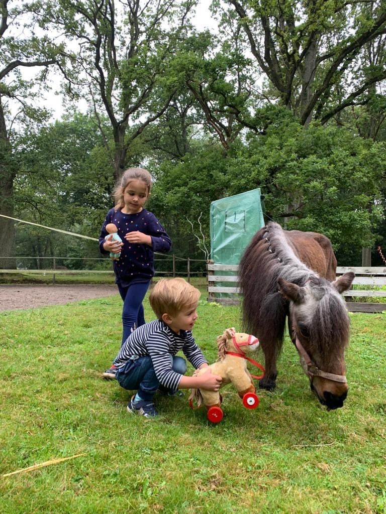 Glamping in een luxe Lodge in het bos