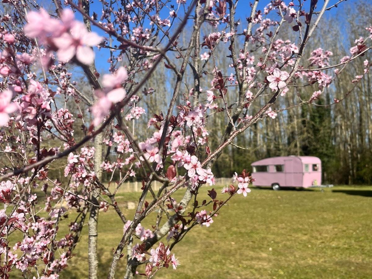 Vive la Vie Kamperen 