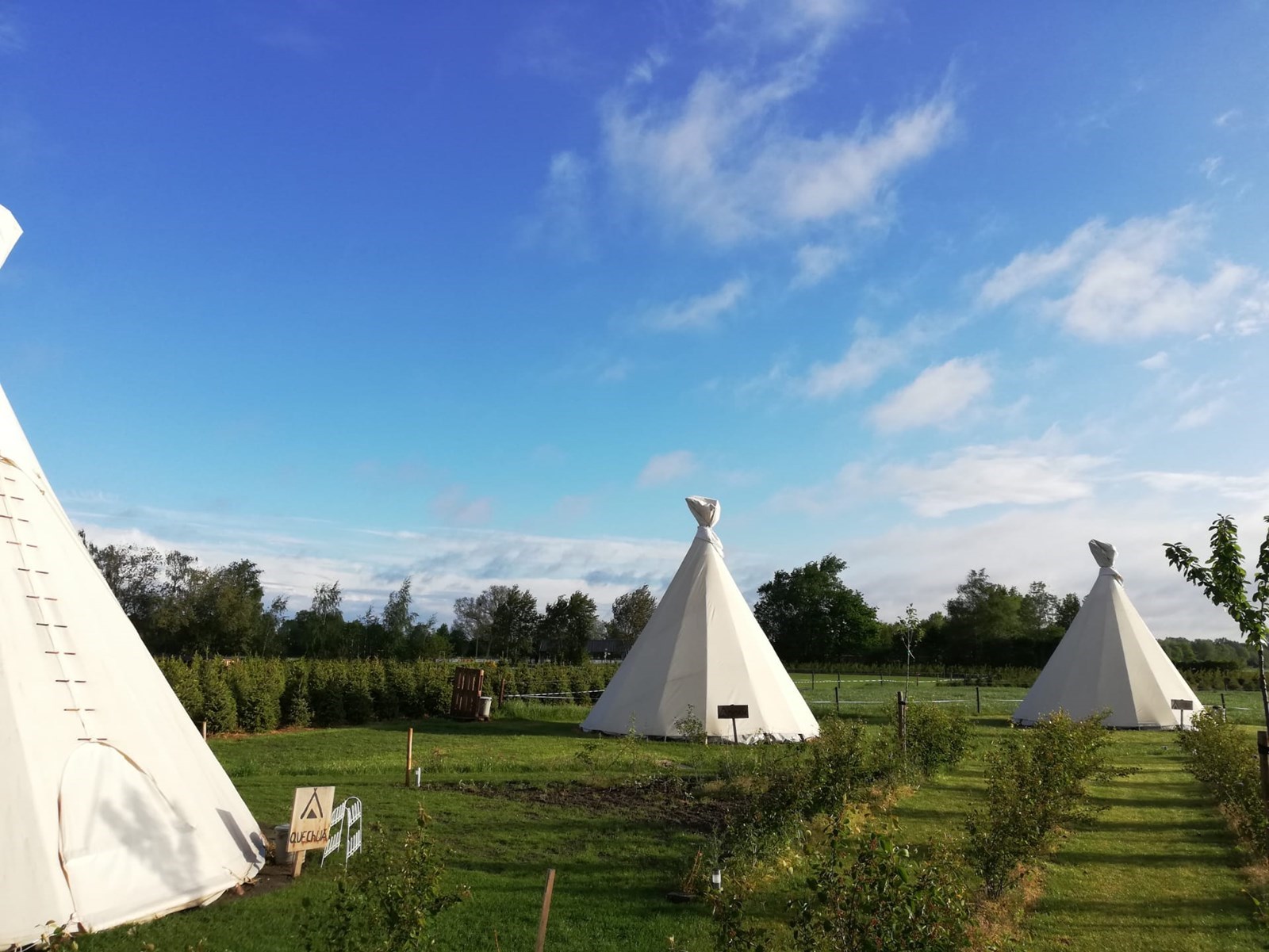 Luxe Tipi met privé sanitair (buiten de tent in sanitaire blok) 