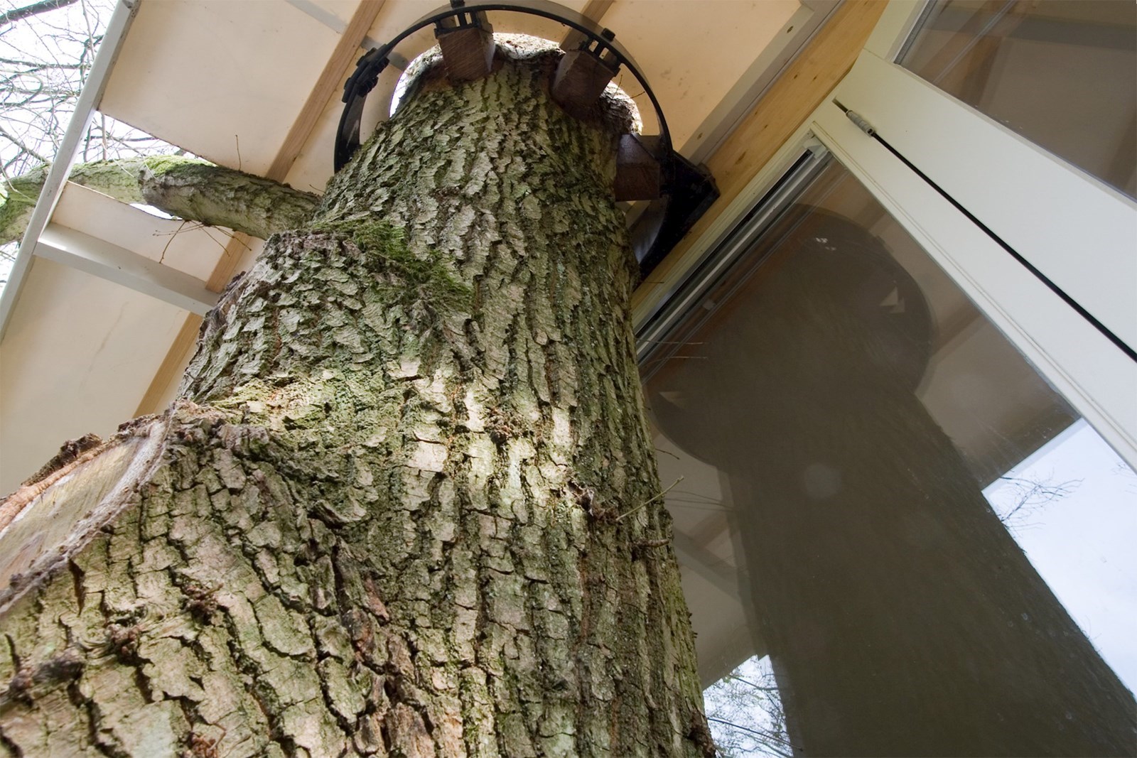 Bijzondere Boomhut voor het hele gezin