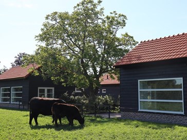 Modern 'kippenhok' De Sierkip Modern 'kippenhok' De Sierkip