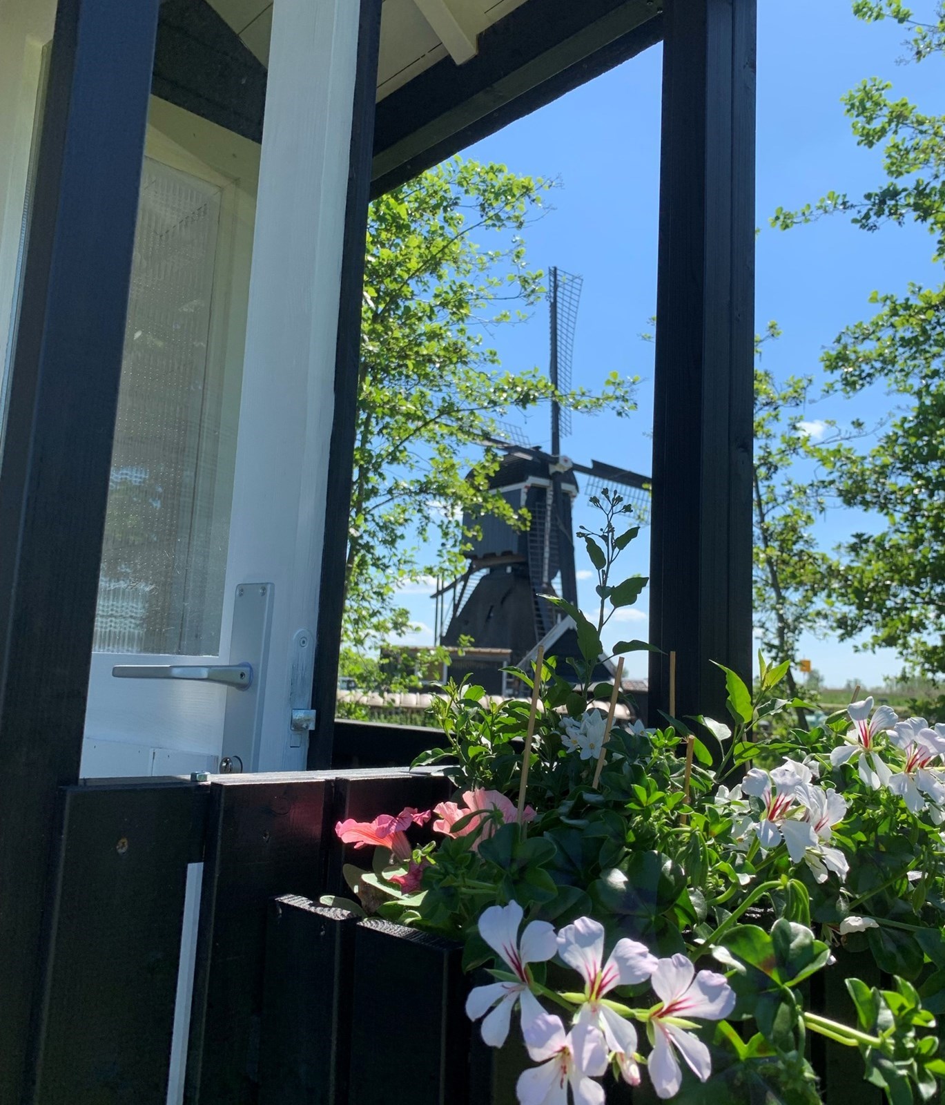 Pipowagen midden in een natuurgebied