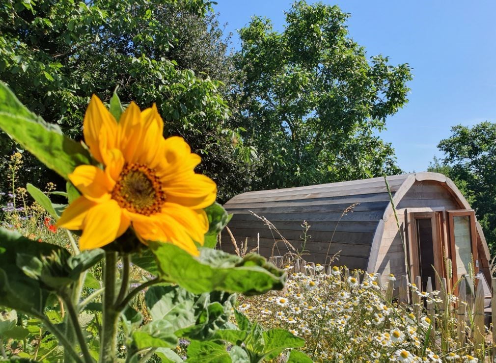 Cederhouten Slaappod XL