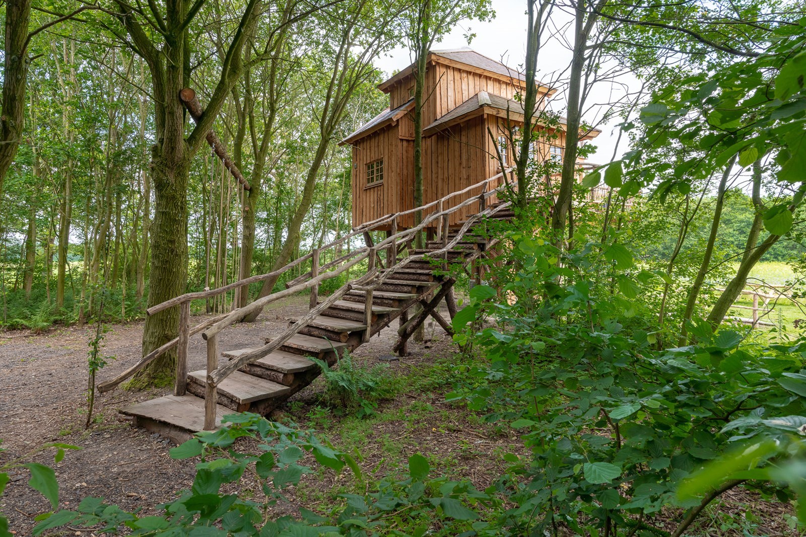 Luxe boomhut in Drenthe