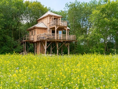 Luxe boomhut in Drenthe Luxe boomhut in Drenthe