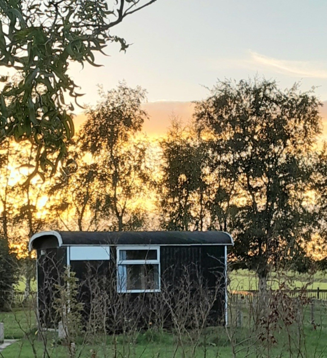 Pipowagen met bedstee