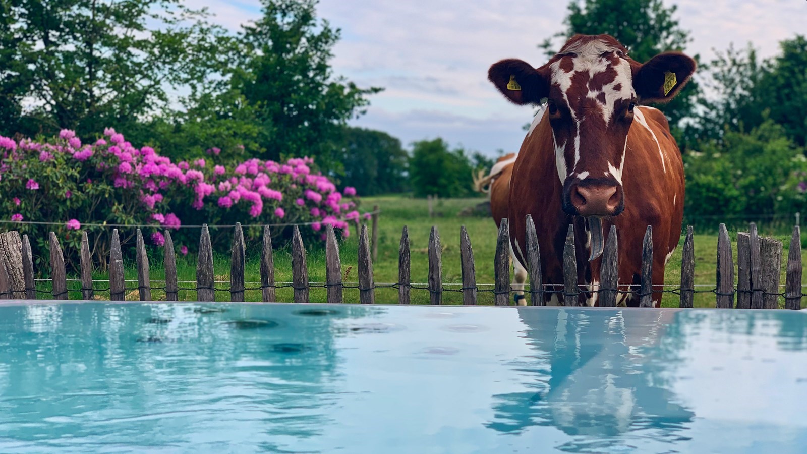 Wellness Hooiberg met whirlpool en Finse sauna