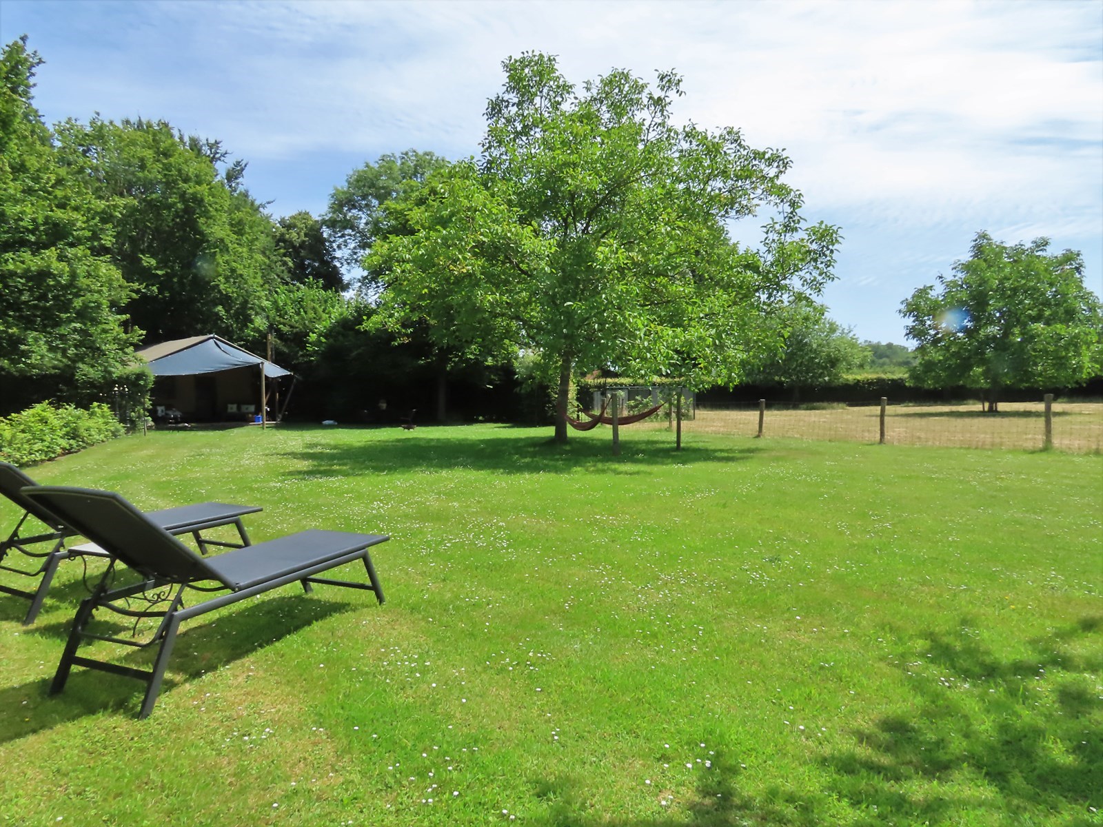 Safaritent in het groen