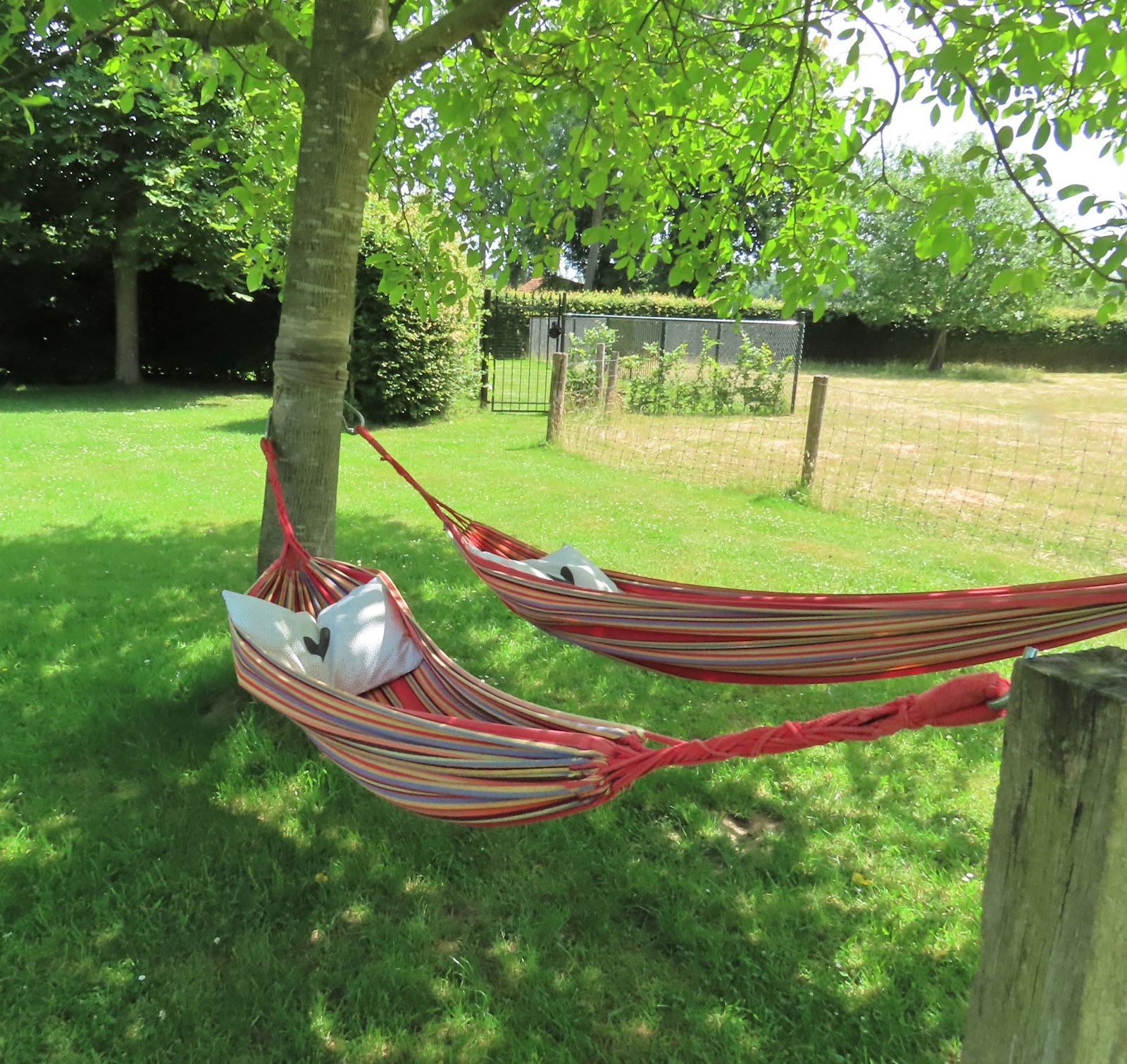 Safaritent in het groen