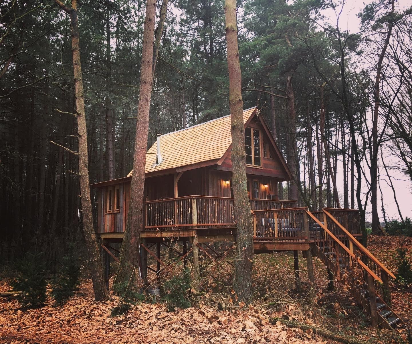 Rustieke Boomhut in België