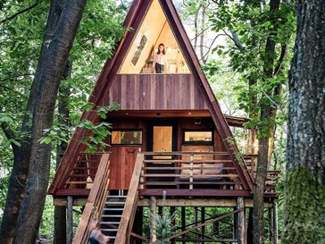Boomhut Bonte Specht Boomhut Bonte Specht