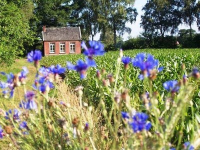 Voormalig zondagsschooltje Voormalig zondagsschooltje