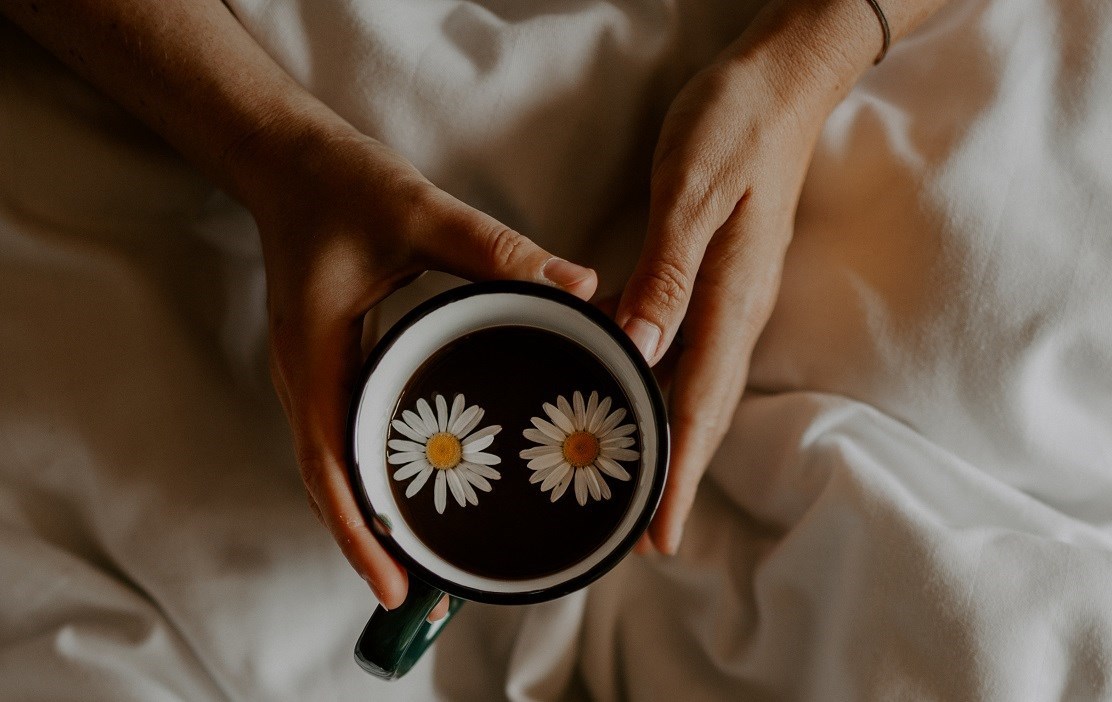 Knus Tiny House in het bos