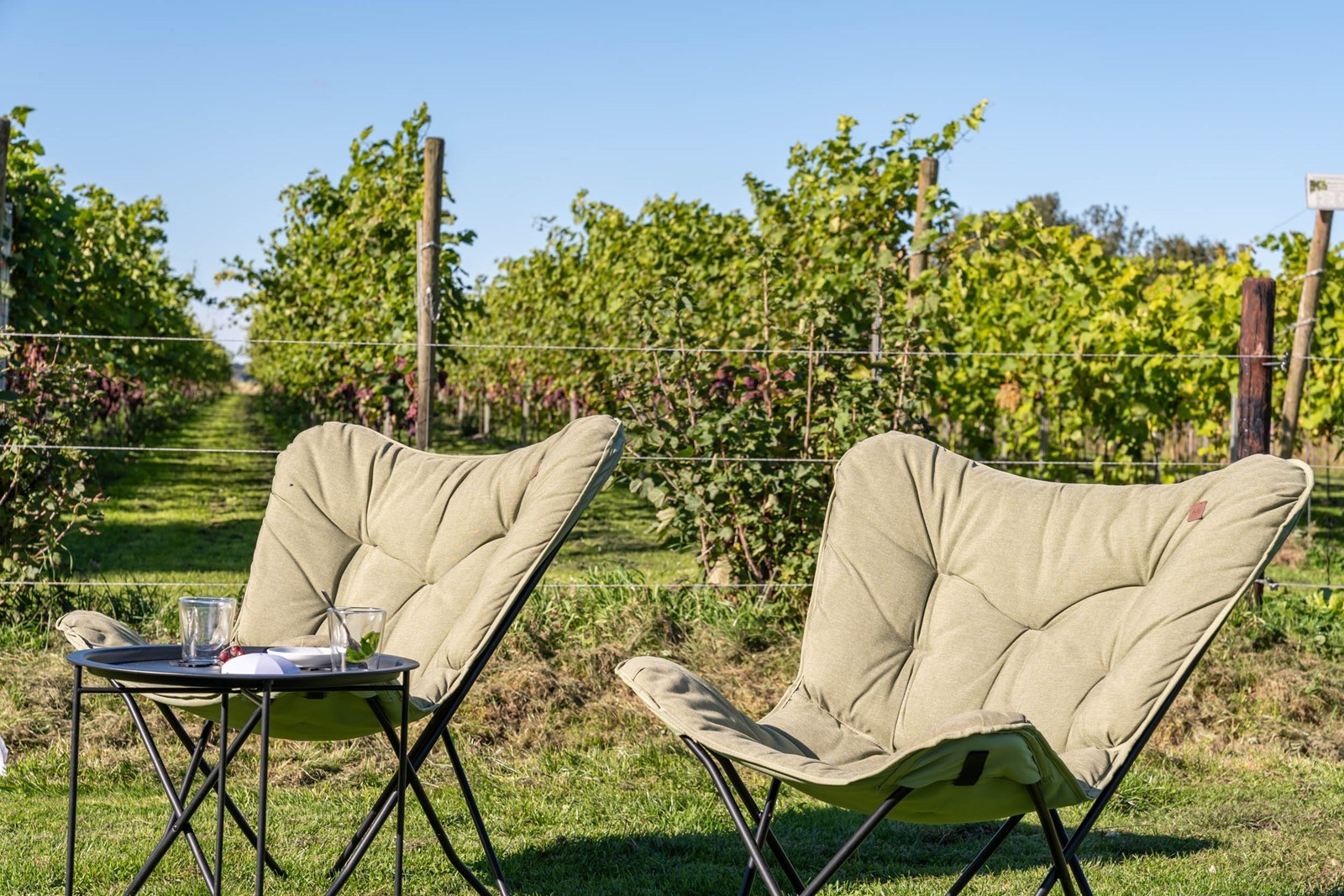 Glamping in een Safaritent