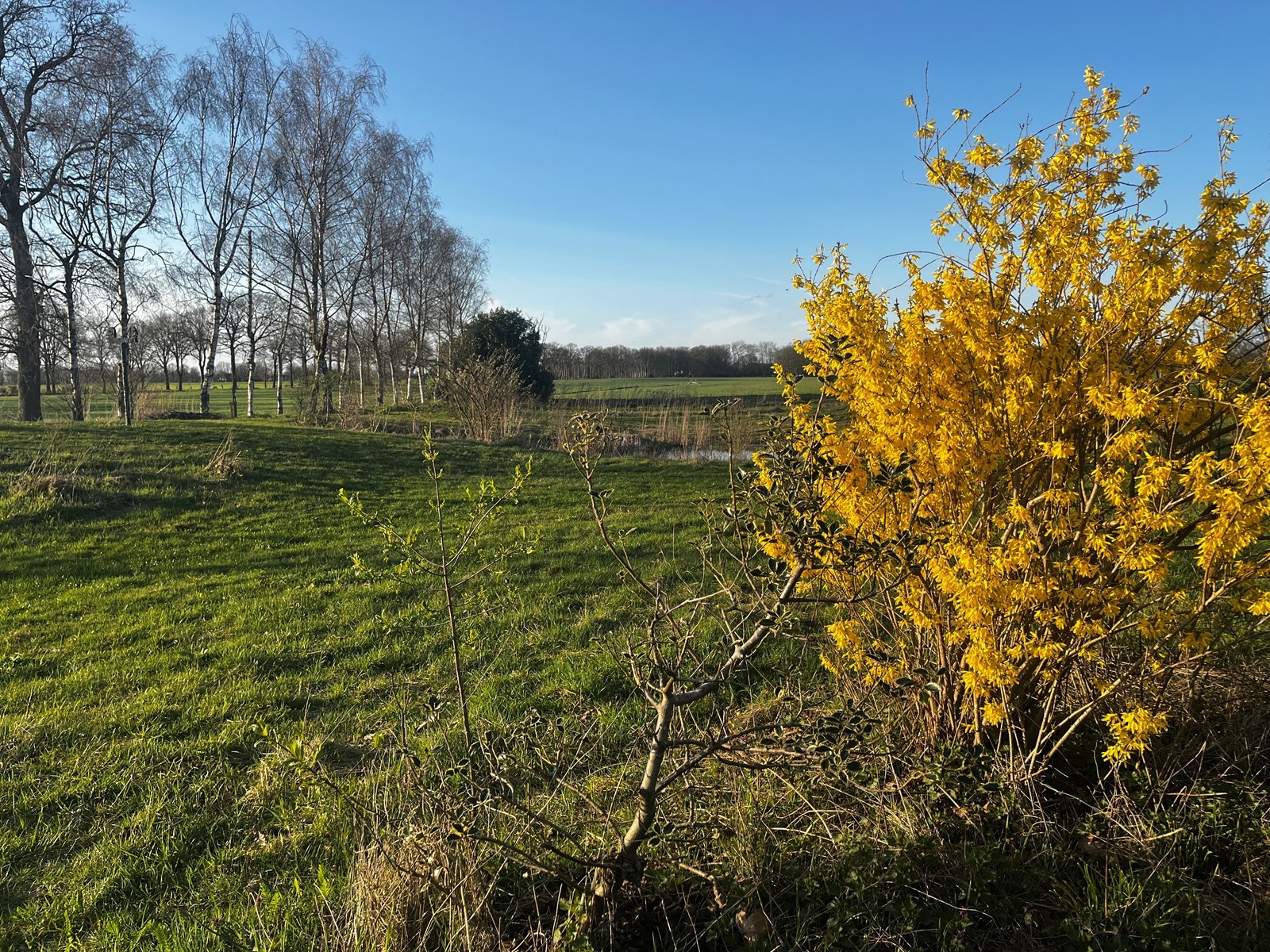 Design vakantiehuis met een heerlijk uitzicht