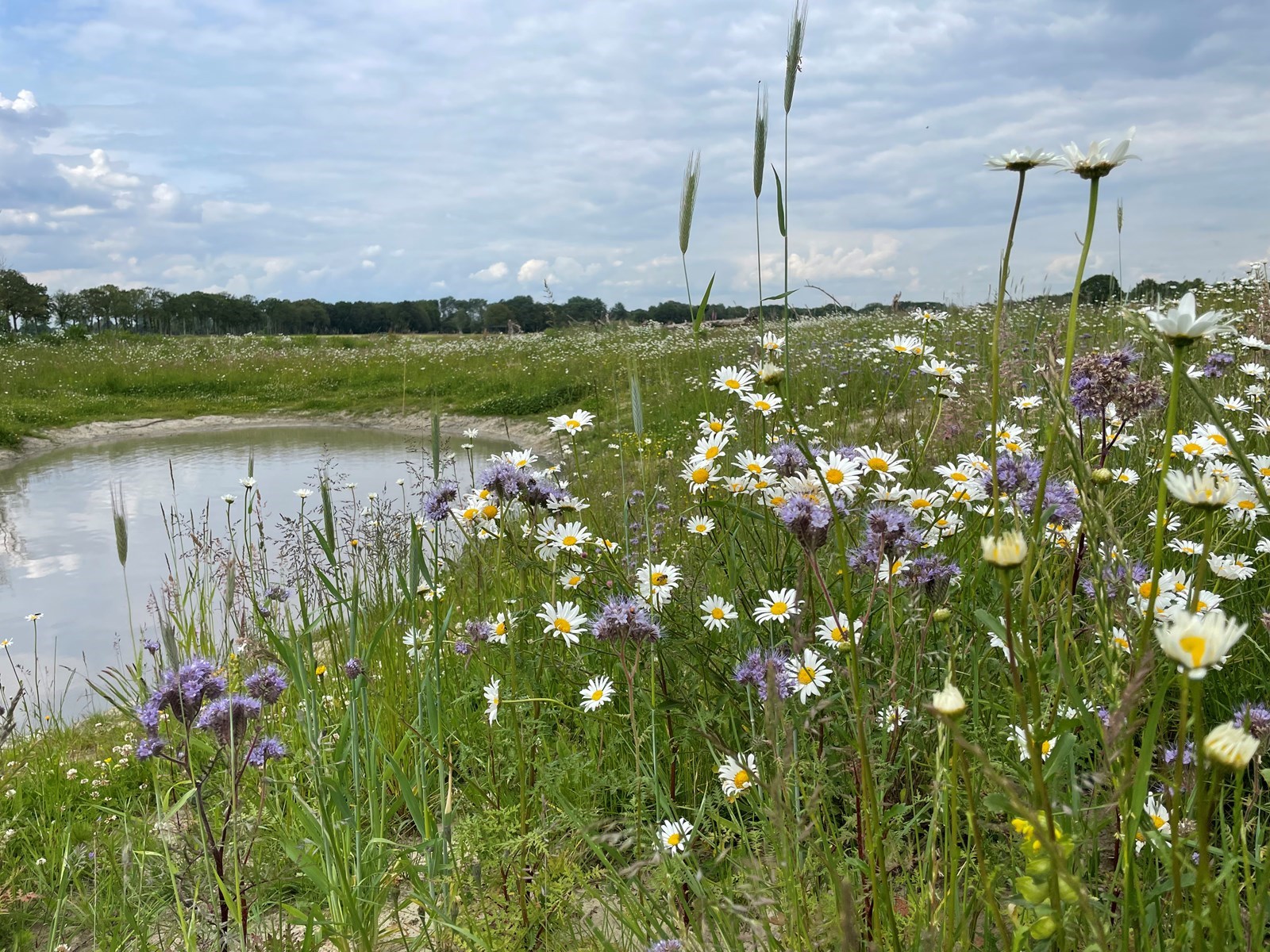 Unieke vakantiehuis met mega uitzicht voor families of vriendinnen