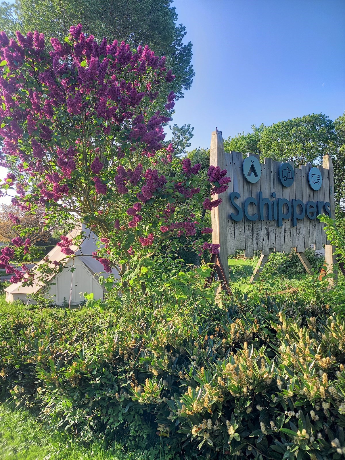 Ingerichte Tipi tent op loopafstand van het strand
