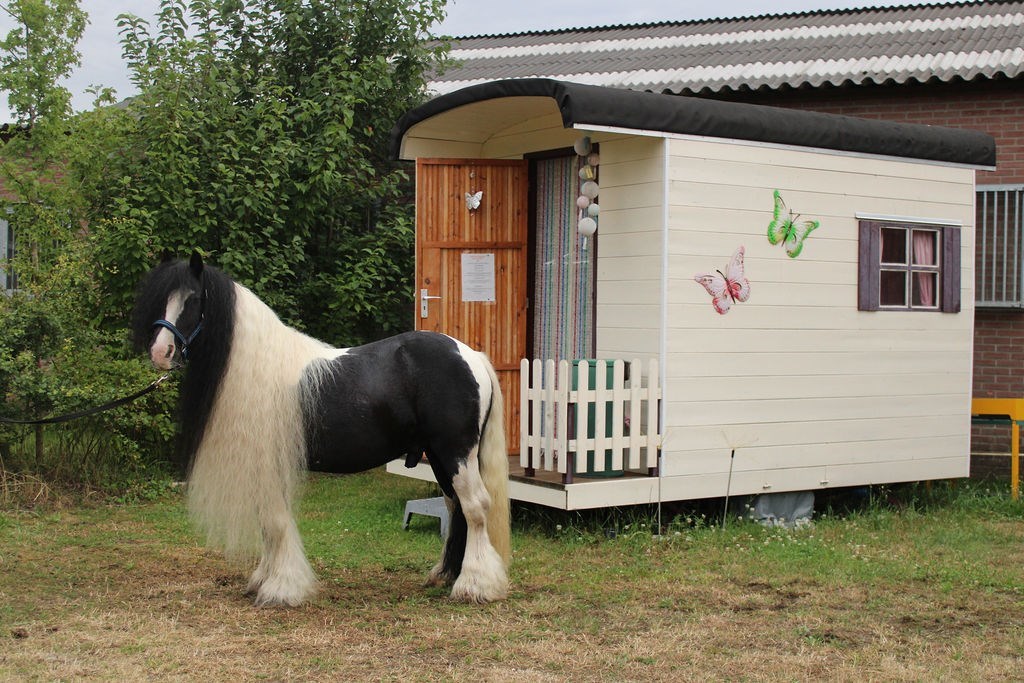 Super schattige Pipowagen