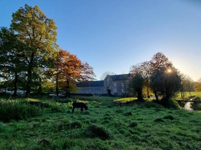 Kasteelkamer met uitzicht op de oprijlaan in Zuid-Limburg. Kasteelkamer met uitzicht op de oprijlaan in Zuid-Limburg.