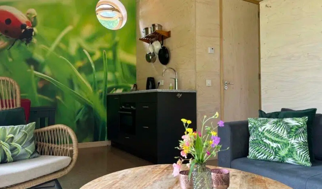 Bijzonder vormgegeven Eco Tiny House