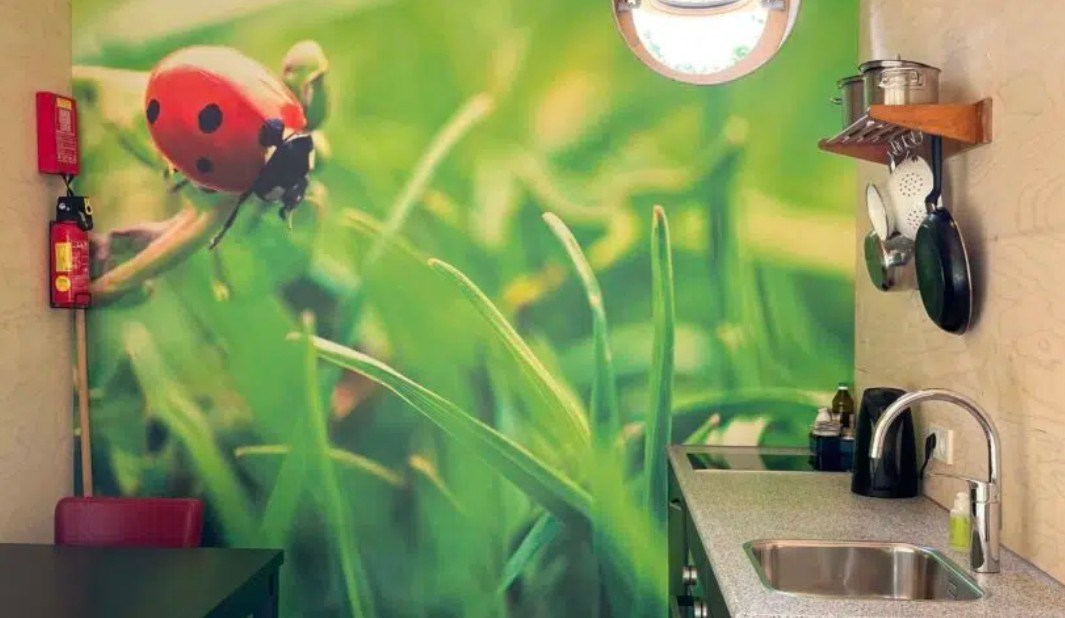 Bijzonder vormgegeven Eco Tiny House