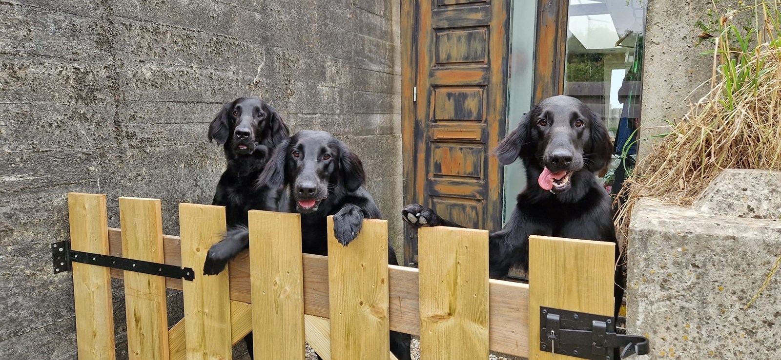 Slapen in een echte WO II bunker met sauna