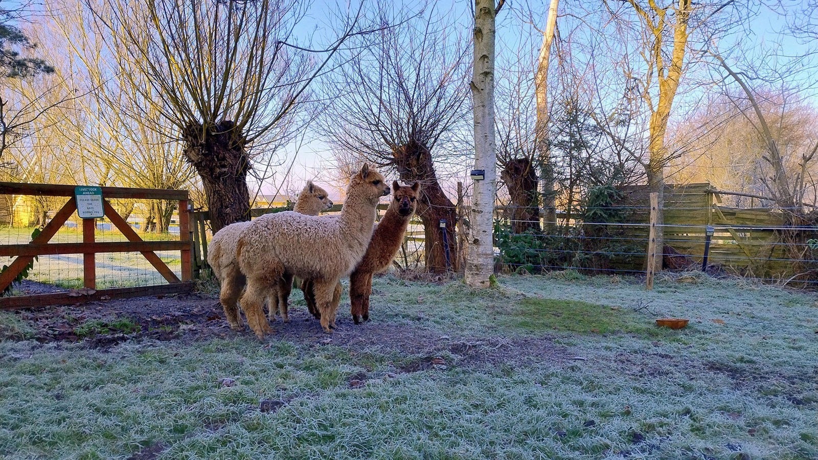 Tiny House op de prairie met hottub en sauna