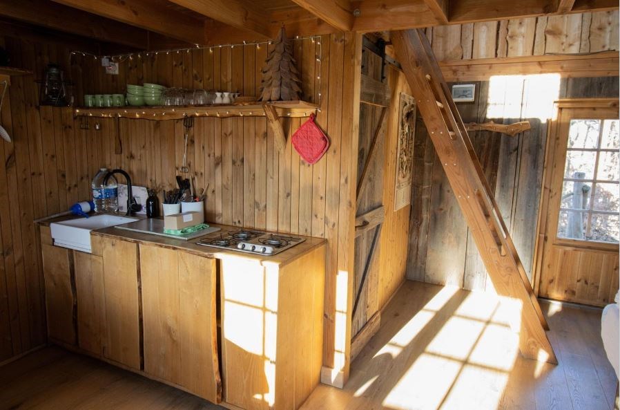 Grote Boomhut voor 6 personen